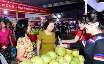 Tuyên Quang: Xúc tiến thương mại, tạo đầu ra bền vững cho sản phẩm thế mạnh