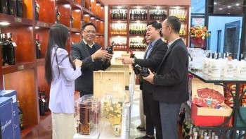 Thế giới rượu nhập khẩu tại Thanh Hóa phục vụ sắm Tết