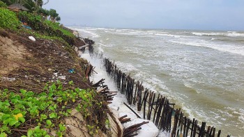 Quảng Nam: Công bố khẩn cấp sạt lở bờ biển Hội An