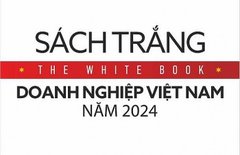Sách trắng doanh nghiệp Việt Nam năm 2024
