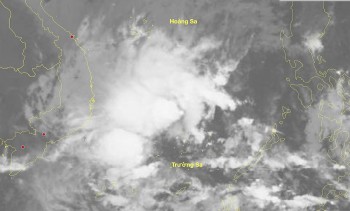 Thời tiết biển hôm nay 1/1: Gió Đông Bắc hoạt động mạnh
