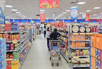 TP. Hồ Chí Minh: Tăng cường kiểm tra hàng hóa phục vụ Tết