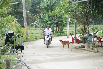 Đà Nẵng: Người dân hiến đất xây dựng nông thôn mới