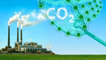 Tăng cường kết nối giữa thị trường carbon và trái phiếu xanh