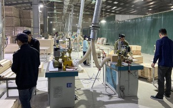 Nhóm hàng mới giúp Yên Bái tăng trưởng giá trị xuất khẩu