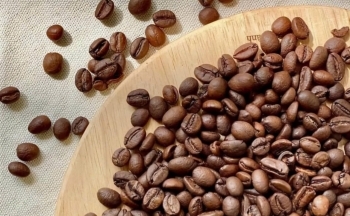 Dự báo giá cà phê trong nước ngày mai 5/1/2025 ổn định