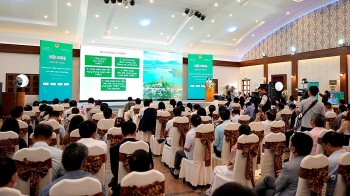 Liên kết vùng để tạo sức mạnh cho phát triển thương mại điện tử