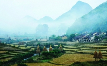 Thời tiết hôm nay 7/1: Bắc Bộ ngày hanh khô, đêm rét