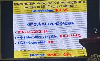 Hủy kết quả phiên đấu giá mỏ cát hơn 370 tỷ đồng