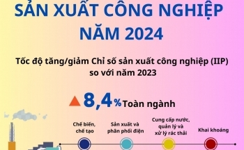 Infographic | Chỉ số sản xuất công nghiệp năm 2024 tăng 8,4%