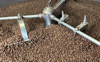 Dự báo giá cà phê ngày mai 8/1/2025 xu hướng tăng