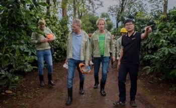 Giá cà phê hôm nay ngày 8/1/2025 đồng loạt tăng