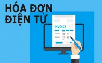 Quảng Trị: Cưỡng chế thuế Công ty Cổ phần Bắc Trung Bộ