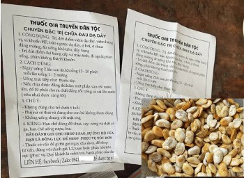 Hạt sang: 'Thần dược' chữa bệnh dạ dày hay liều thuốc độc?