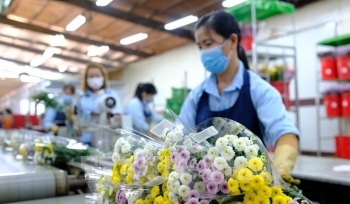 Xây dựng thương hiệu cho xuất khẩu hoa tươi Việt Nam