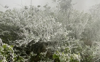 Thời tiết hôm nay 10/1: Bắc Bộ rét đậm, rét hại