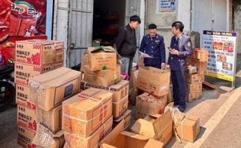 Ninh Bình: Xử lý 311 vụ vi phạm, thu ngân sách gần 4 tỷ đồng
