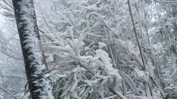 Xuất hiện băng tuyết tại đỉnh đèo La Pán Tẩn, Tà Xùa