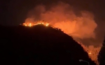 Cháy rừng Lạng Sơn: Lực lượng chức năng dập lửa xuyên đêm