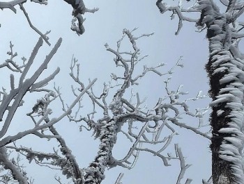 Thời tiết hôm nay 12/1: Miền Bắc rét đậm diện rộng