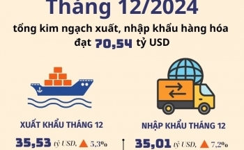 Kim ngạch xuất, nhập khẩu tháng 12/2024 đạt hơn 70,5 tỷ USD