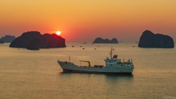 Hành trình mang xuân đến Bạch Long Vĩ và