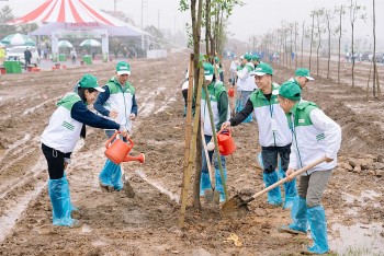 Đồng bộ giải pháp cho mục tiêu trung hòa các - bon và phát triển bền vững