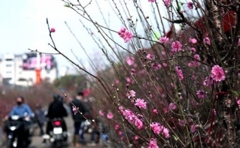 Thời tiết hôm nay 15/1: Bắc Bộ duy trì rét lạnh