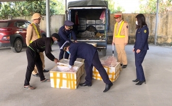 Phú Thọ: Kịp thời ngăn chặn vụ vận chuyển nội tạng không bảo đảm vệ sinh