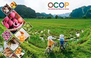 Hơn 2.100 hợp tác xã nông nghiệp có sản phẩm OCOP