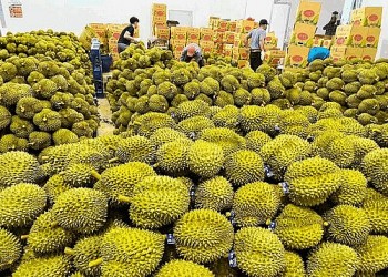 Thương mại Việt Nam - Trung Quốc sớm đạt trên 300 tỷ USD