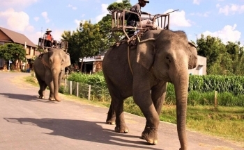 Thời tiết hôm nay 16/1: Tây Nguyên và Nam Bộ ngày nắng