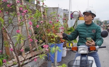 Công nhận di sản văn hóa phi vật thể với nghề trồng đào Nhật Tân