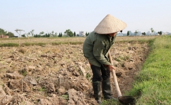 Thời tiết hôm nay 18/1: Miền Bắc trời rét, khô hanh