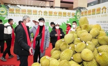 Xây dựng thương hiệu cho ngành nông nghiệp cần chính sách nào?