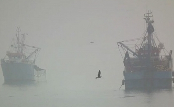 Thời tiết biển hôm nay 21/1: Vịnh Bắc Bộ có sương mù