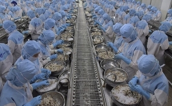 Điếm danh những thị trường triển vọng của xuất khẩu thủy sản Việt