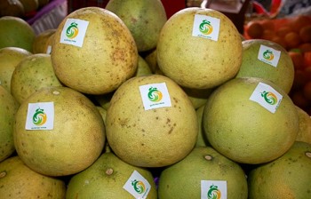 Yên Bái có thêm 3 sản phẩm OCOP đạt 4 sao