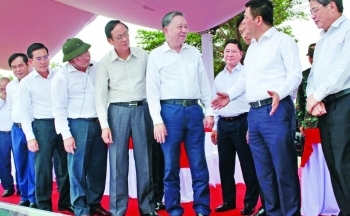Lộng lẫy mùa Xuân đất nước