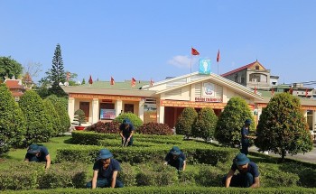 Thành phố Hải Phòng: Sắc Xuân trên 'trận địa canh trời'