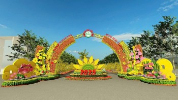 Cần Thơ: 30.000 giỏ hoa, cây cảnh rực rỡ dịp Tết