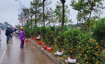 Thời tiết hôm nay 25/1: Bắc Bộ có mưa, trời rét