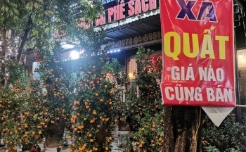 Thị trường đào, quất Hà Nội: Tiểu thương xả hàng, cắt lỗ vẫn vắng khách mua