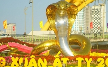 Rực rỡ đường hoa Tết Ất Tỵ 2025 tại TP. Đà Nẵng