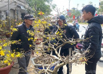 Chùm ảnh: Thị trường hoa Tết ở Hải Phòng sức mua giảm