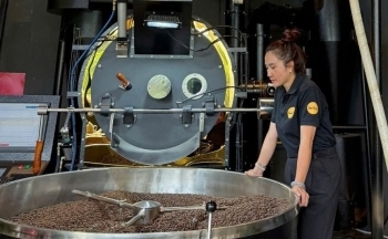 Giá cà phê trong nước hôm nay 28/1/2025: Giữ giá ổn định