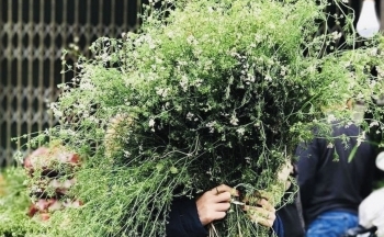 Hương mùi già về phố, hút khách đi chợ Tết