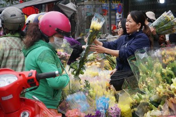 Đà Nẵng: Hối hả mua sắm tại chợ Tết ngày cuối năm