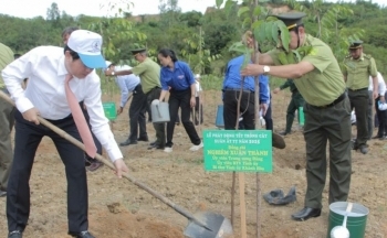 Khánh Hòa phát động Tết trồng cây Xuân Ất Tỵ 2025