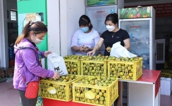 Lạng Sơn: Đảm bảo an toàn thực phẩm dịp lễ hội xuân 2025